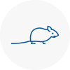 Mice Exterminators In Corby